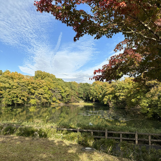 【岐阜観光】岐阜の自然を満喫できる絶景スポット