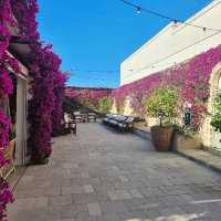 Masseria Torre Maizza, Puglia