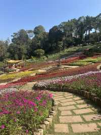 I was AMAZED by the Beauty of Chiang Rai Temples!