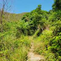 Discovering the Wild Beauty of Wilson Trail Section 9
