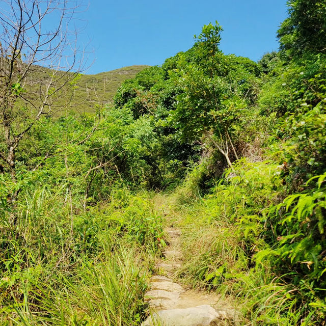 Discovering the Wild Beauty of Wilson Trail Section 9