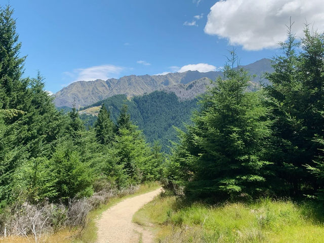Hiking the Scenic Queenstown Hill