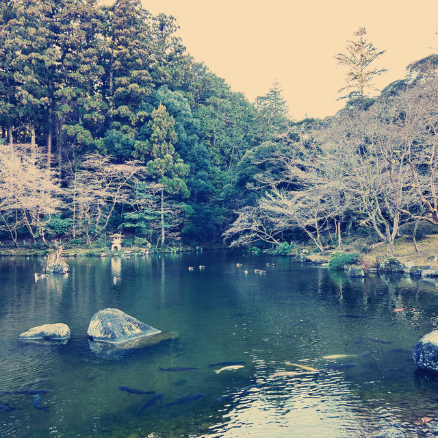 成田空港の近く古都成田🎍