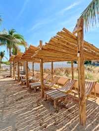คาเฟ่สไตล์Beach บรรยากาศสุดน่ารักมีน้องหมูวิ่งไปมา
