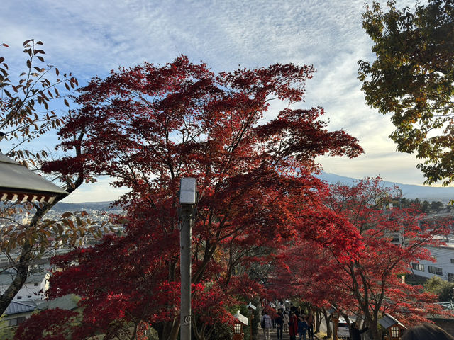 東京 - 走進淺間公園的奇幻世界 🌄✨