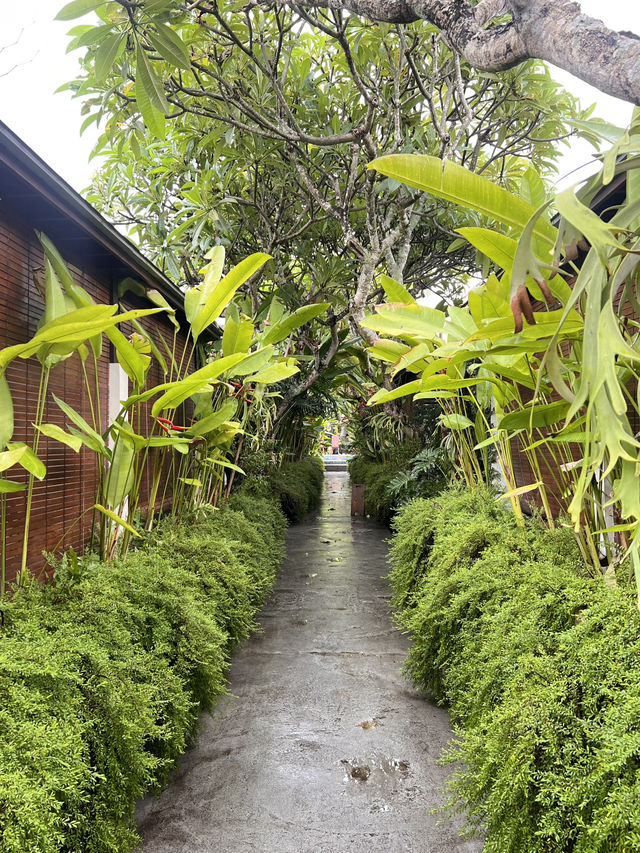 【インドネシア バリ島】緑に囲まれたコスパ良いHotel🇮🇩