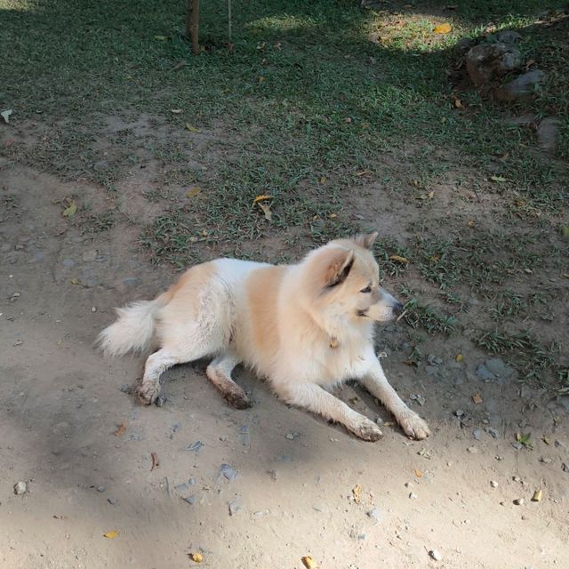 ธรรมชาติ ป่าเขา สายน้ำ ลำธาร