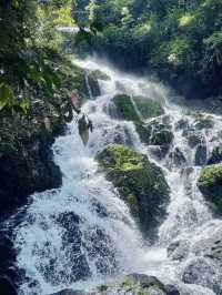 Into the Wild: My Adventure at Khao Sok National Park