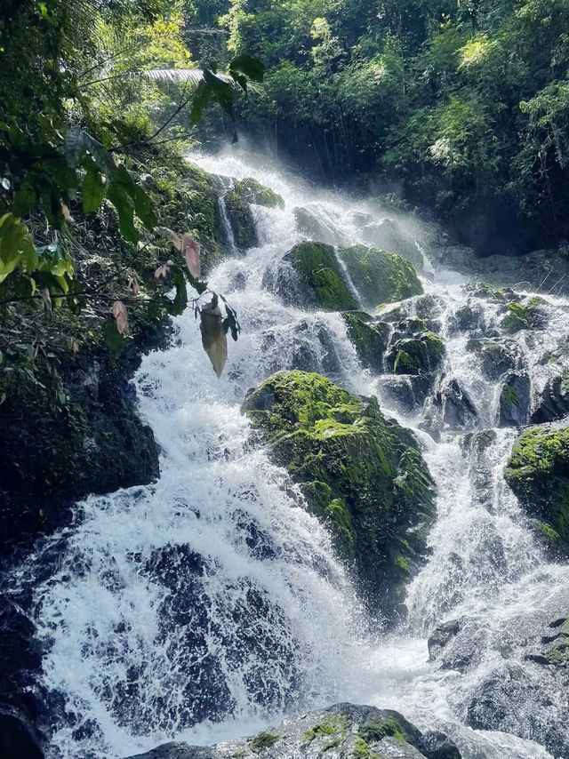 Into the Wild: My Adventure at Khao Sok National Park
