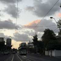 墨爾本Prahran Market