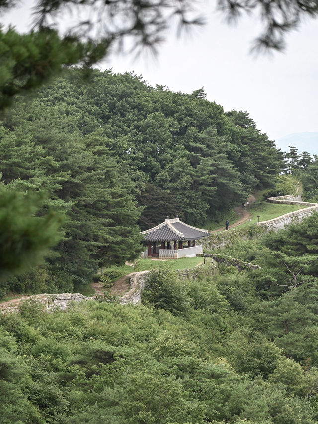 【清州】韓国の地方都市も魅力がいっぱい！