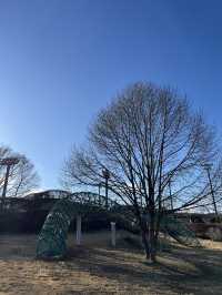 【立科町🇯🇵】龍がモチーフの複合遊具がある運動公園！🐉
