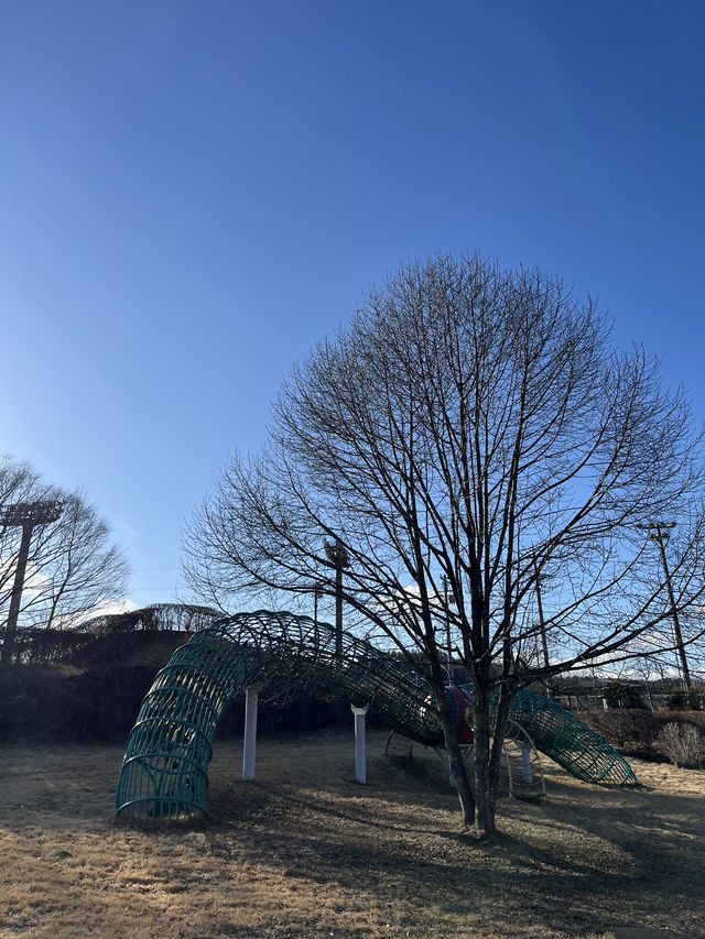 【立科町🇯🇵】龍がモチーフの複合遊具がある運動公園！🐉