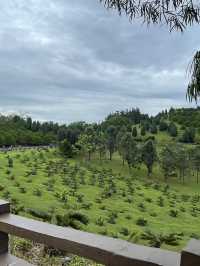 Taman Saujana Hijau: A Tranquil Escape Amidst Nature’s Beauty 🌳🌺