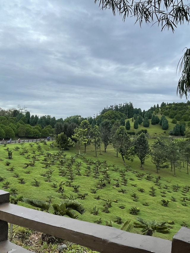 Taman Saujana Hijau: A Tranquil Escape Amidst Nature’s Beauty 🌳🌺
