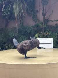 光の演出が素敵なキラキラ水族館🐬❄️