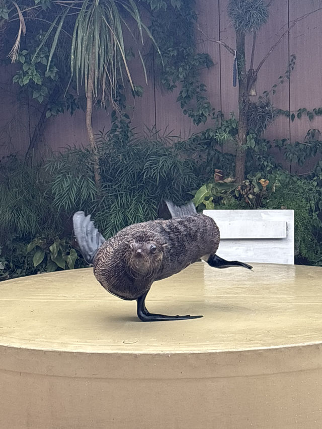 光の演出が素敵なキラキラ水族館🐬❄️