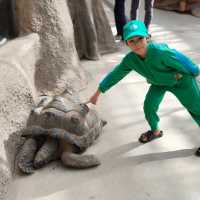 kobe animal kingdom สวนสัตว์ในร่ม แต่สัตว์เยอะมาก