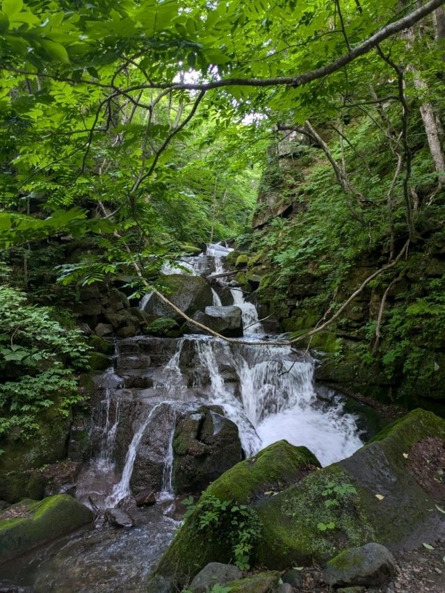 【青森県】奥入瀬渓流〜自然のパワースポット〜