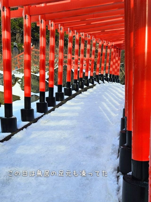 【青森／つがる市】雪の千本鳥居「髙山稲荷神社」⁡