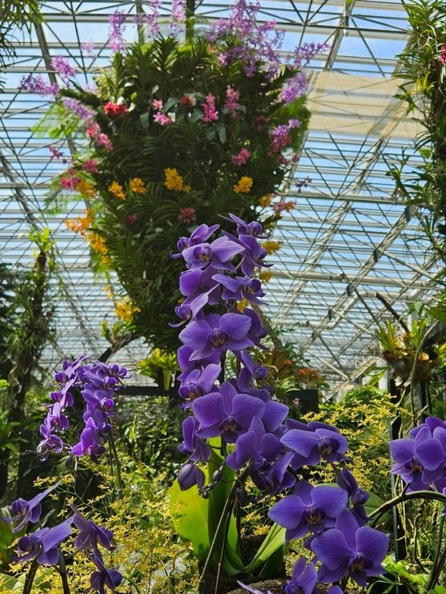 【熱帯の植物が一年中楽しめる】