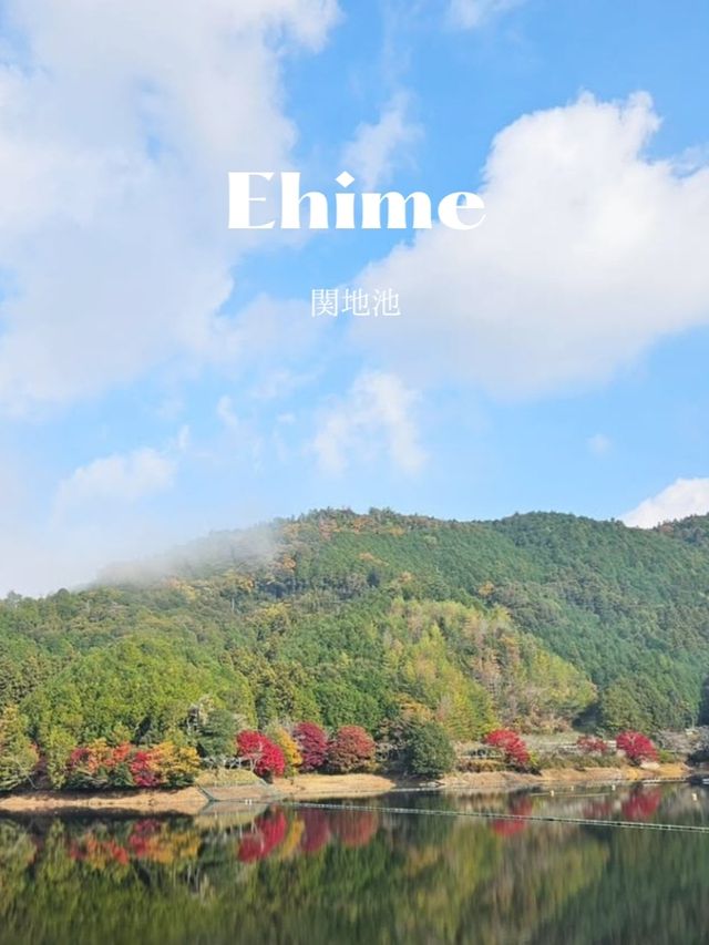 【100万トンの水量を誇るため池】
