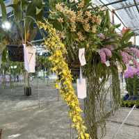 งานมีจฉาบานตำนานเขาสมิงครั้งที่4