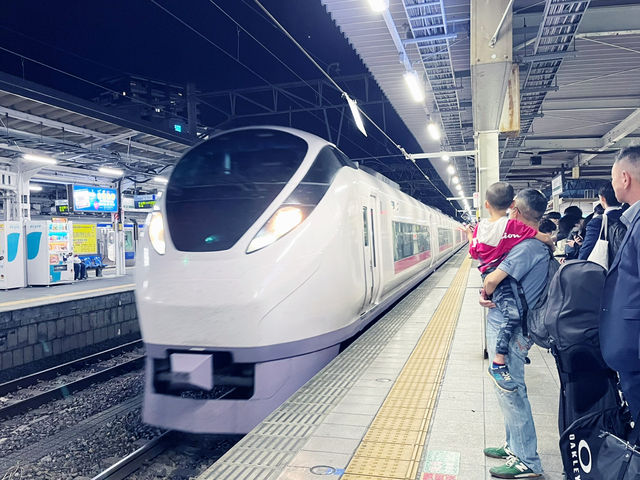 【紅葉と歴史】秋の水戸日帰り満喫モード🍁🚆