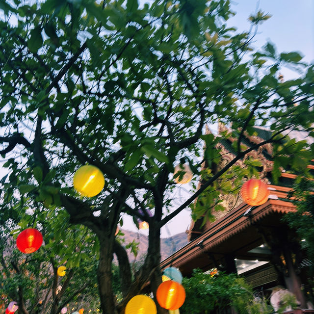 เทศกาลแสวงบุญขึ้นเขาวงพระจันทร์🌕✨