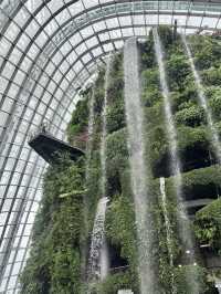 🌿✨ 新加坡必訪夢幻花園——濱海灣花園 ✨🌿
