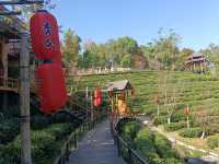 บ้านรักไทย แมฺ่ฮ่องสอน ที่พัก ลีไวน์รีสอร์ท
