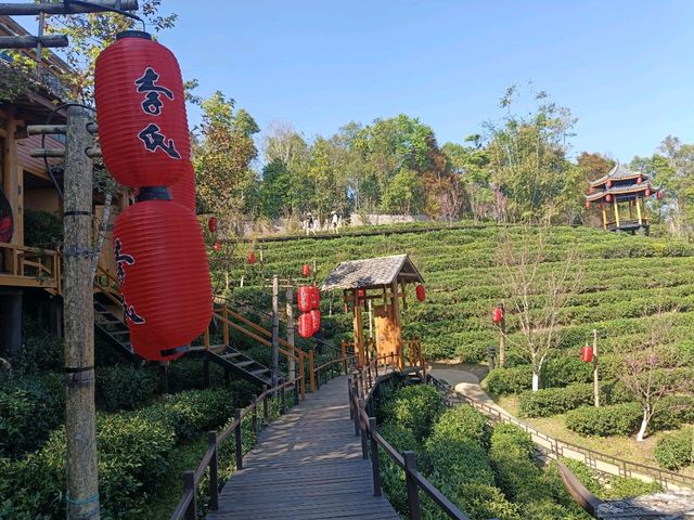 บ้านรักไทย แมฺ่ฮ่องสอน ที่พัก ลีไวน์รีสอร์ท