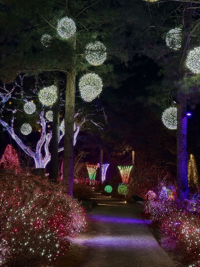 가평의 또 다른 야경 명소, 별빛정원✨