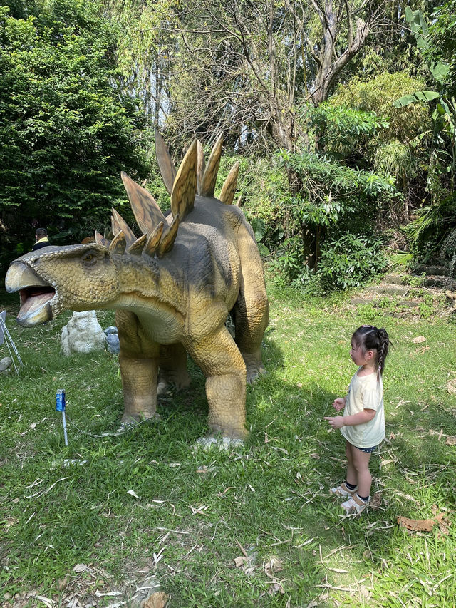 彰化｜百果山探索樂園