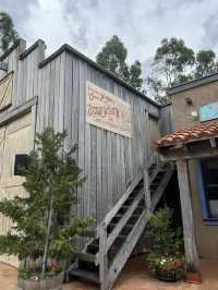 Complete Guide of Scenic World