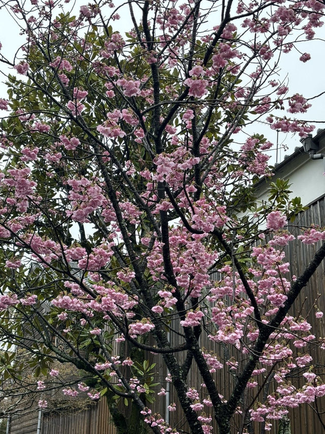일본여행