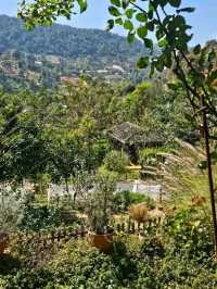 Mori Natural Farm เป็นฟาร์มสเตย์สไตล์ญี่ปุ่น