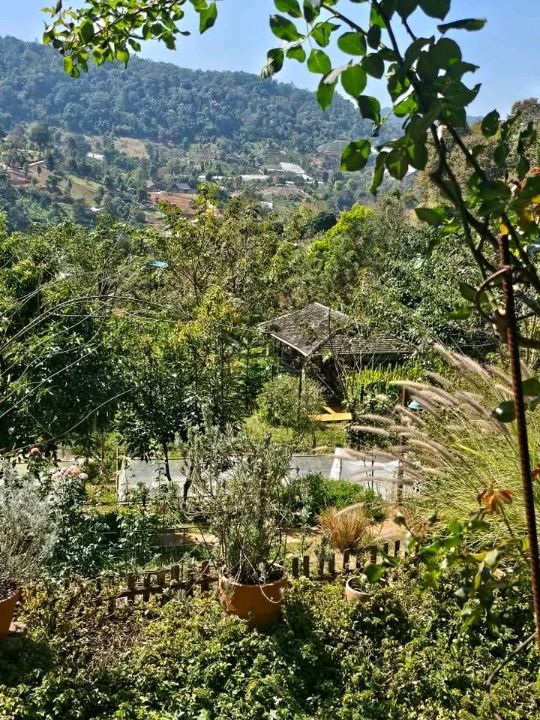 Mori Natural Farm เป็นฟาร์มสเตย์สไตล์ญี่ปุ่น