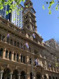 Sydney’s Downtown Charm: Where Hills Meet Skyscrapers