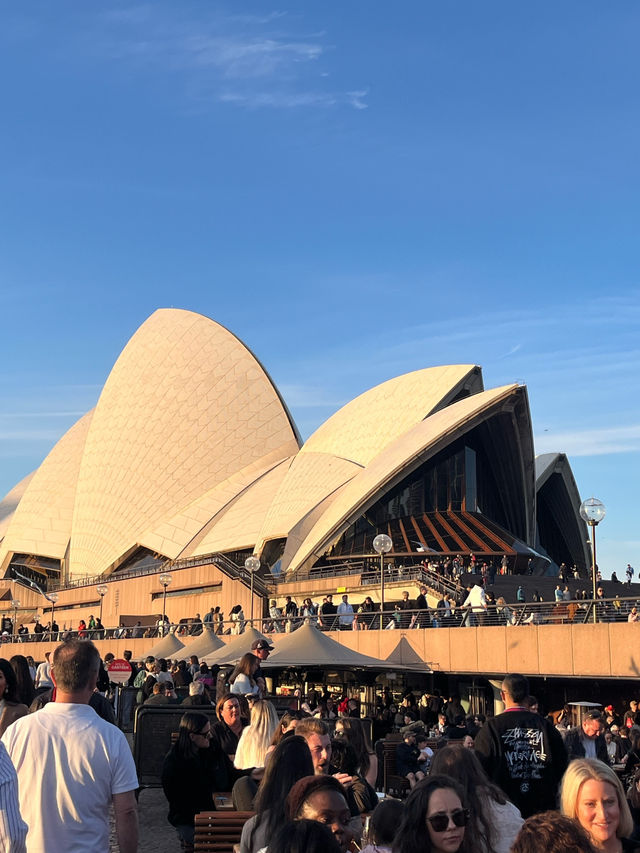 퇴사 후 호주 시드니 한달 살이 해보기 🇦🇺