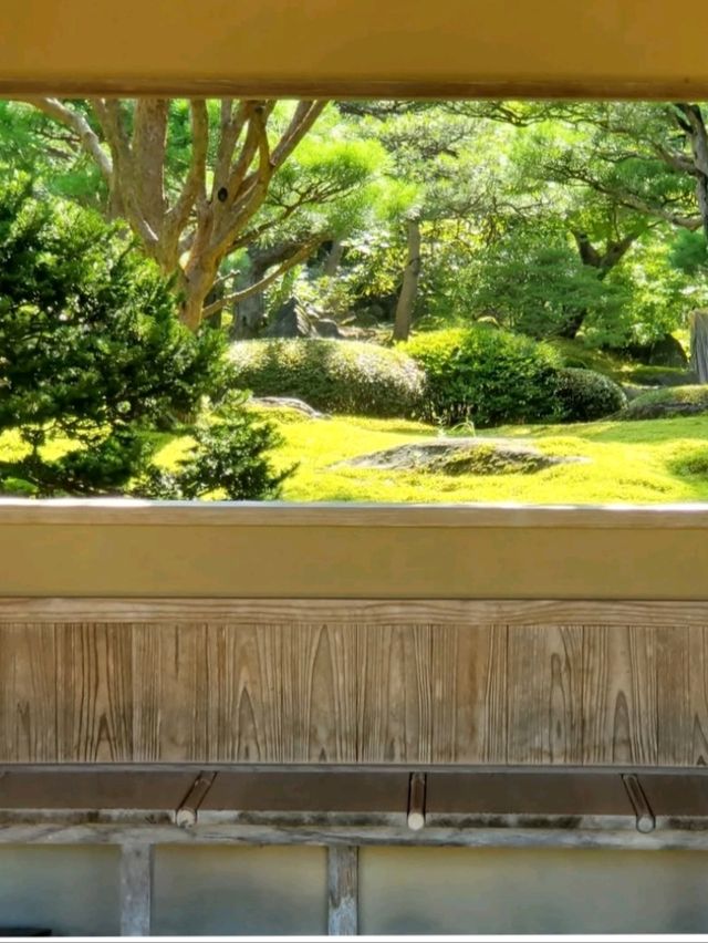 ■由志園