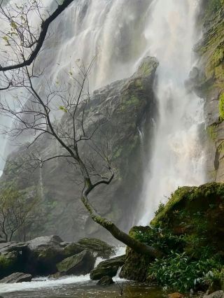 療癒系瀑布 