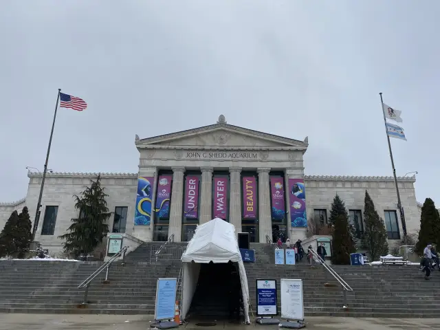 謝德水族館 Shedd Aquarium