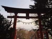 Chureito Pagoda x ซากุระ x ฟูจิ
