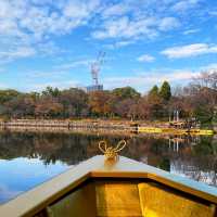 【大阪】5天4夜京都、大阪、奈良行程安排