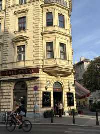 Best risotto in Vienna 