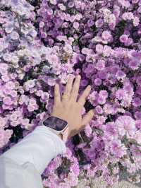 ภูเวียง คาเฟ่ 💐