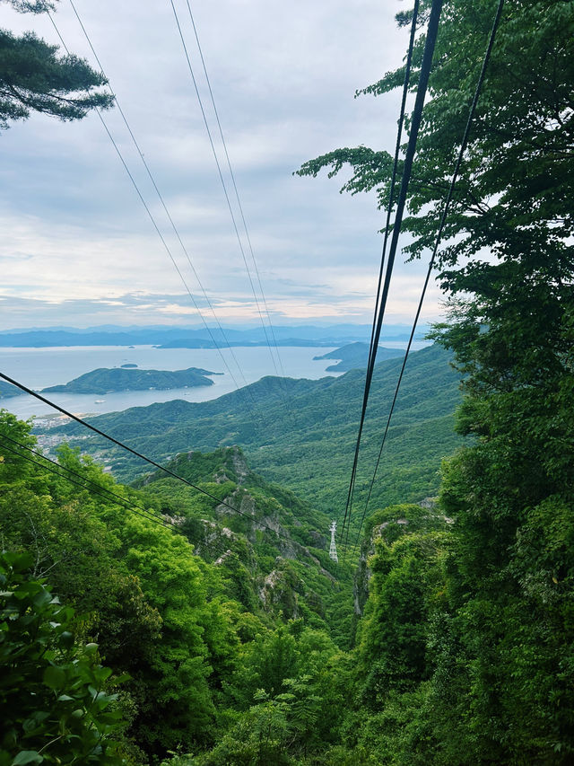 日本三大渓谷美！絶景の寒霞渓を空中散歩🚠🍁