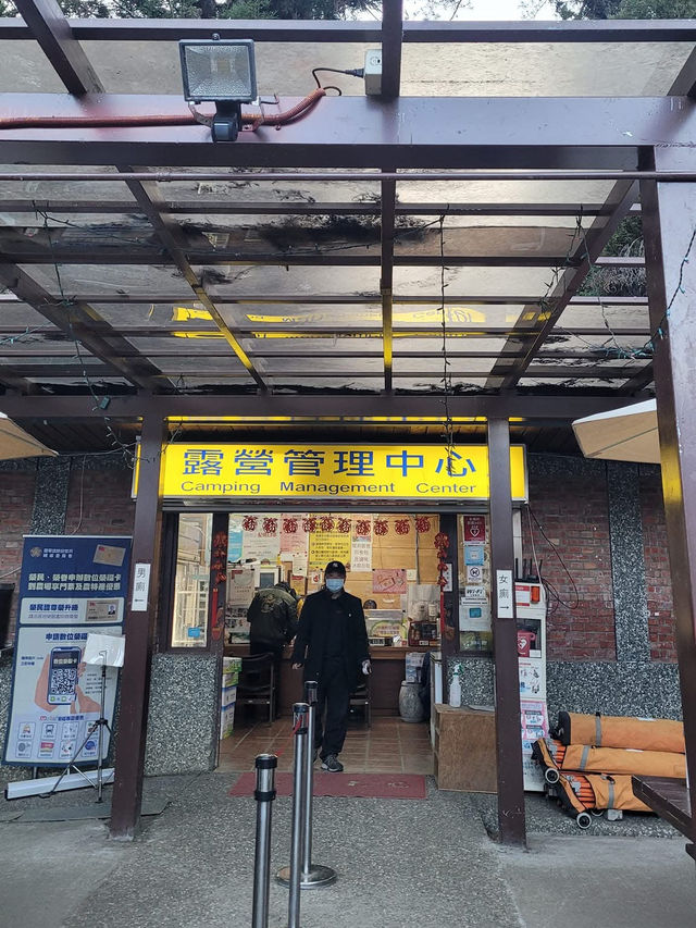 武陵農場櫻花滿開的景色不輸日本喔！