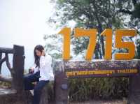 จุดชมวิวดอยภูคา 1715 จ.น่าน หลงไปฤดูหมอกควัน🌳🌿